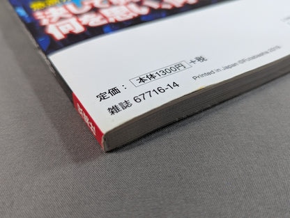 俺たちのプロレス VOL.12 三沢光晴の真実 急逝から10年―。ライバルや盟友12名がそれぞれの想いを激白!!