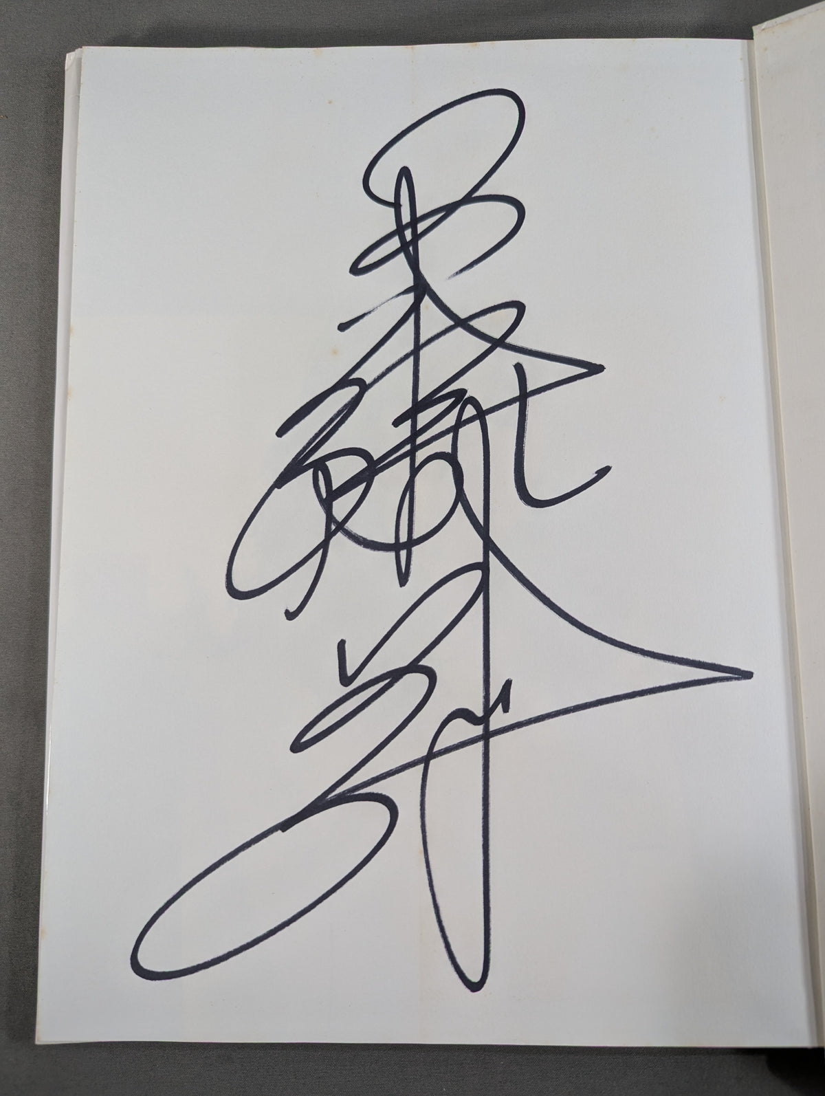 【hand signed autograph】 Megumi Kudo photo collection Stand Up