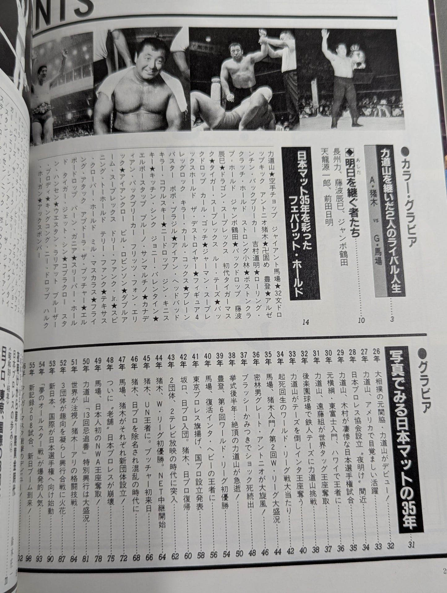 1945～1985激動のスポーツ40年史⑥ プロレス 秘蔵写真で綴る激動史