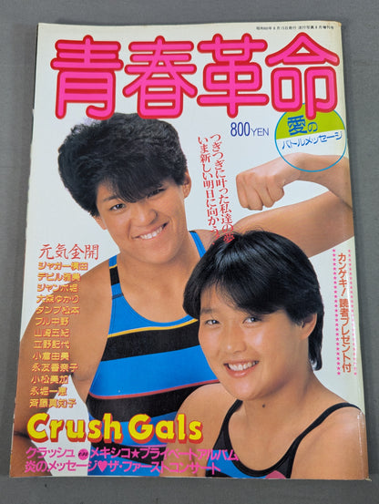 青春革命