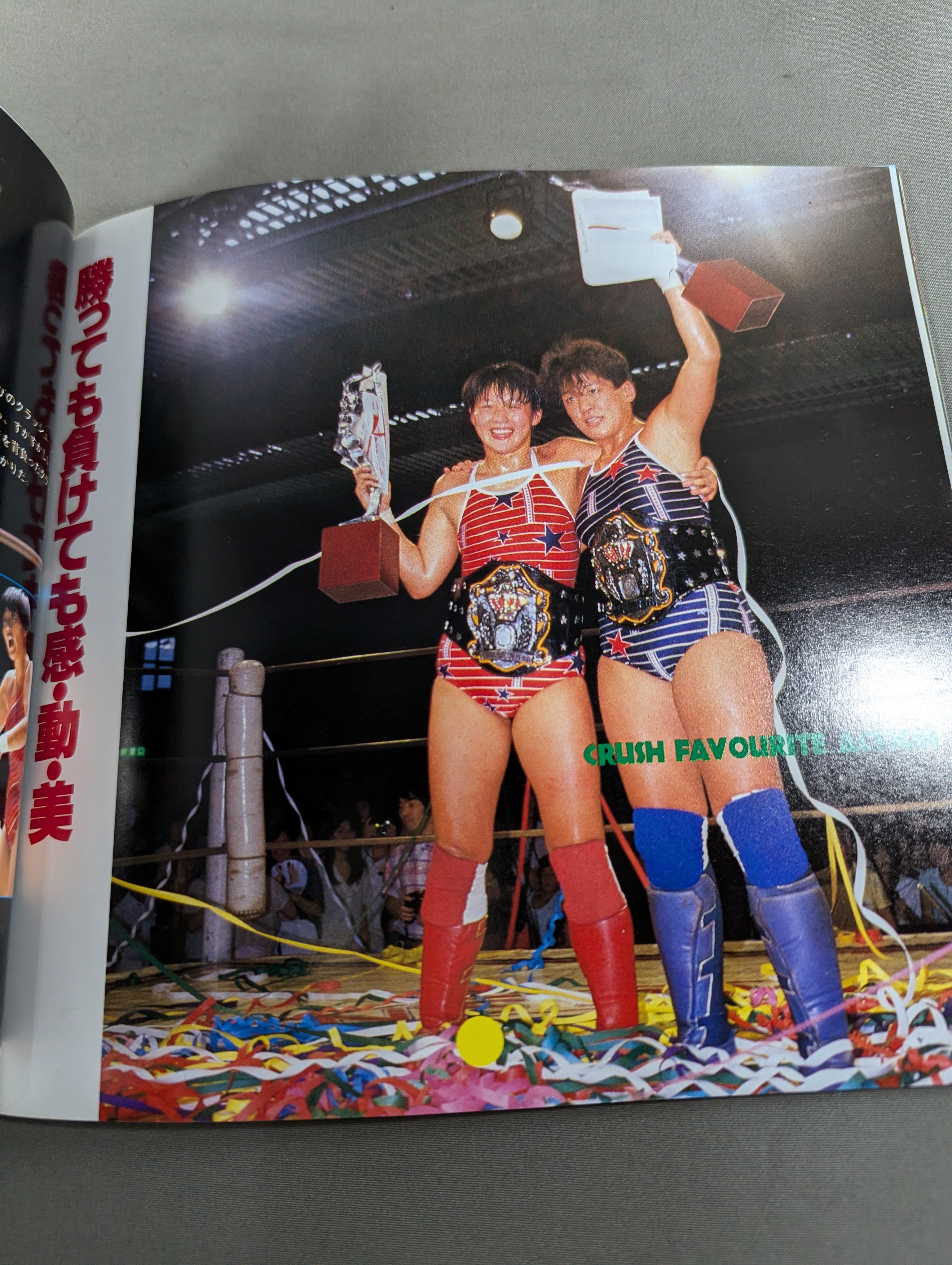 クラッシュ・ギャルズ ☆女子プロレス・パーソナル・シリーズ①