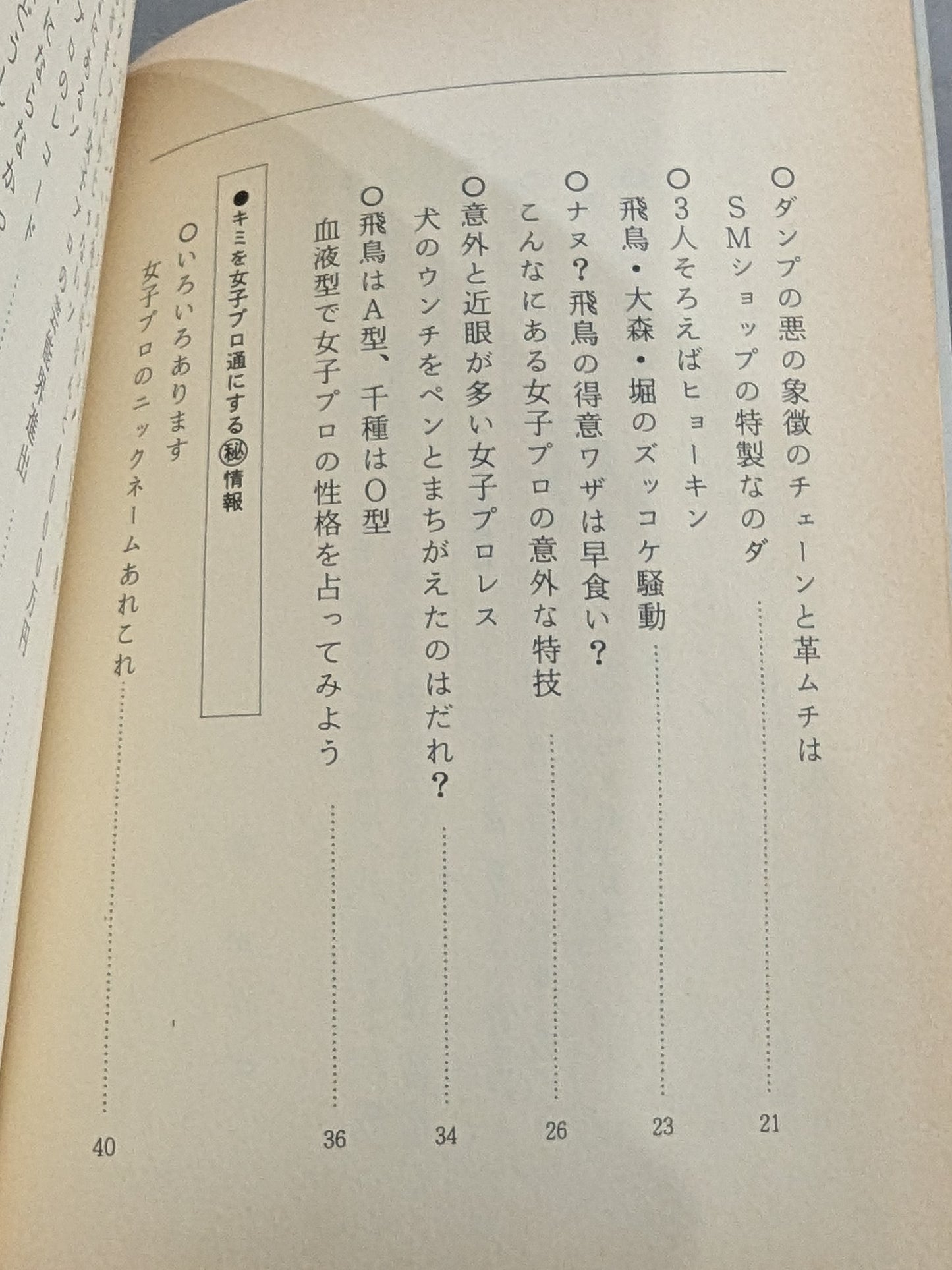なんてったって女子プロレス