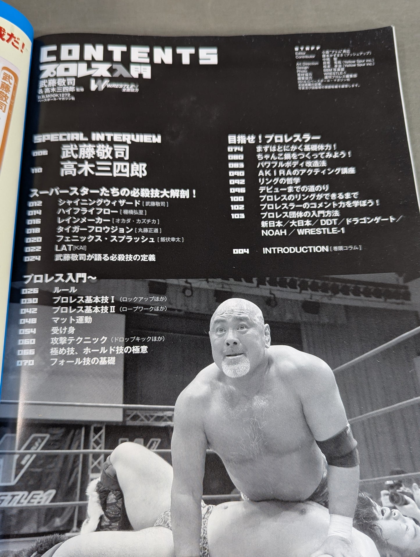 Getting Started with Pro Wrestling  Pro Wrestling I will teach you all the techniques!