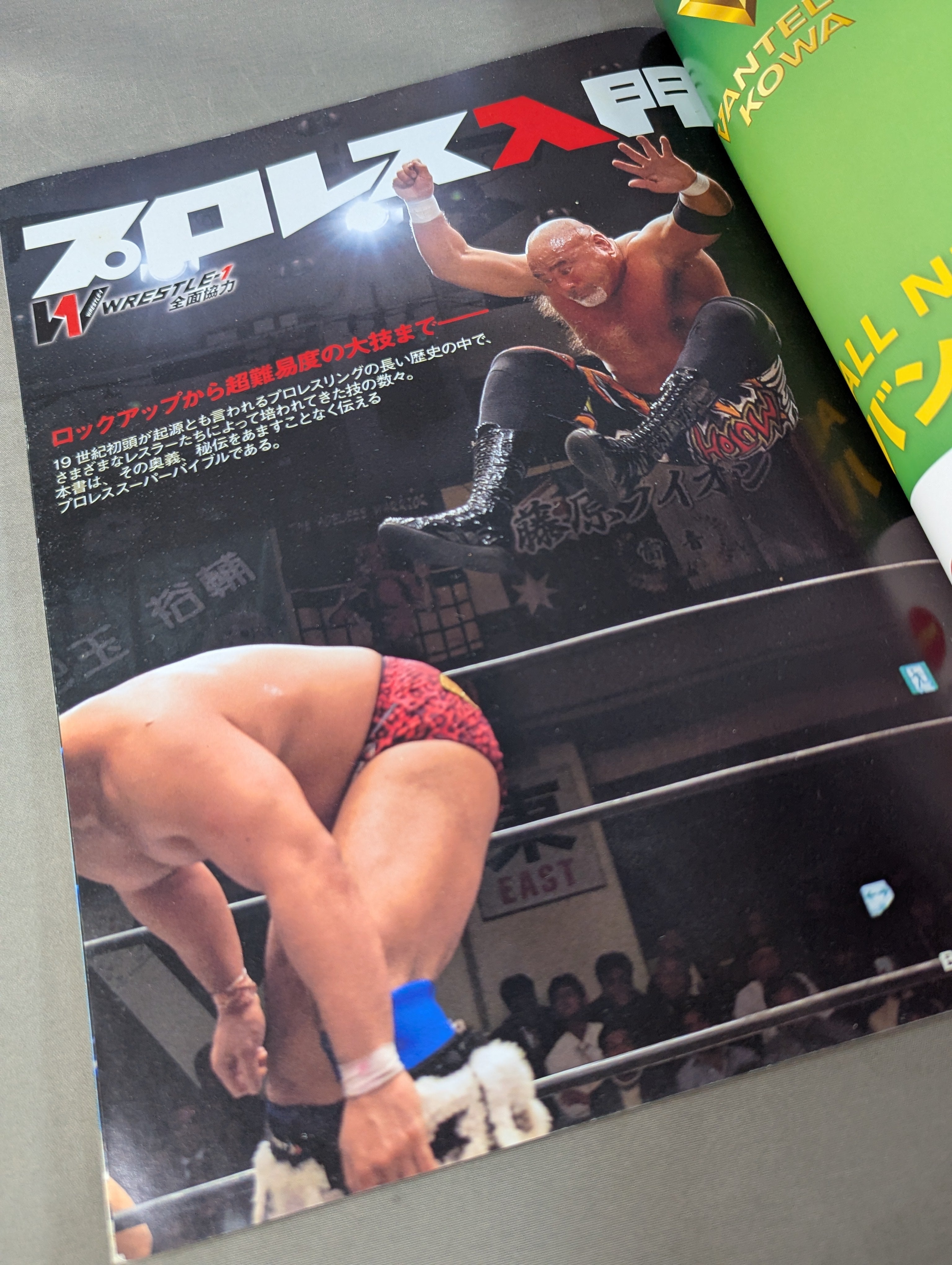 プロレス入門 プロレスの技術すべて教えます! – 闘道館