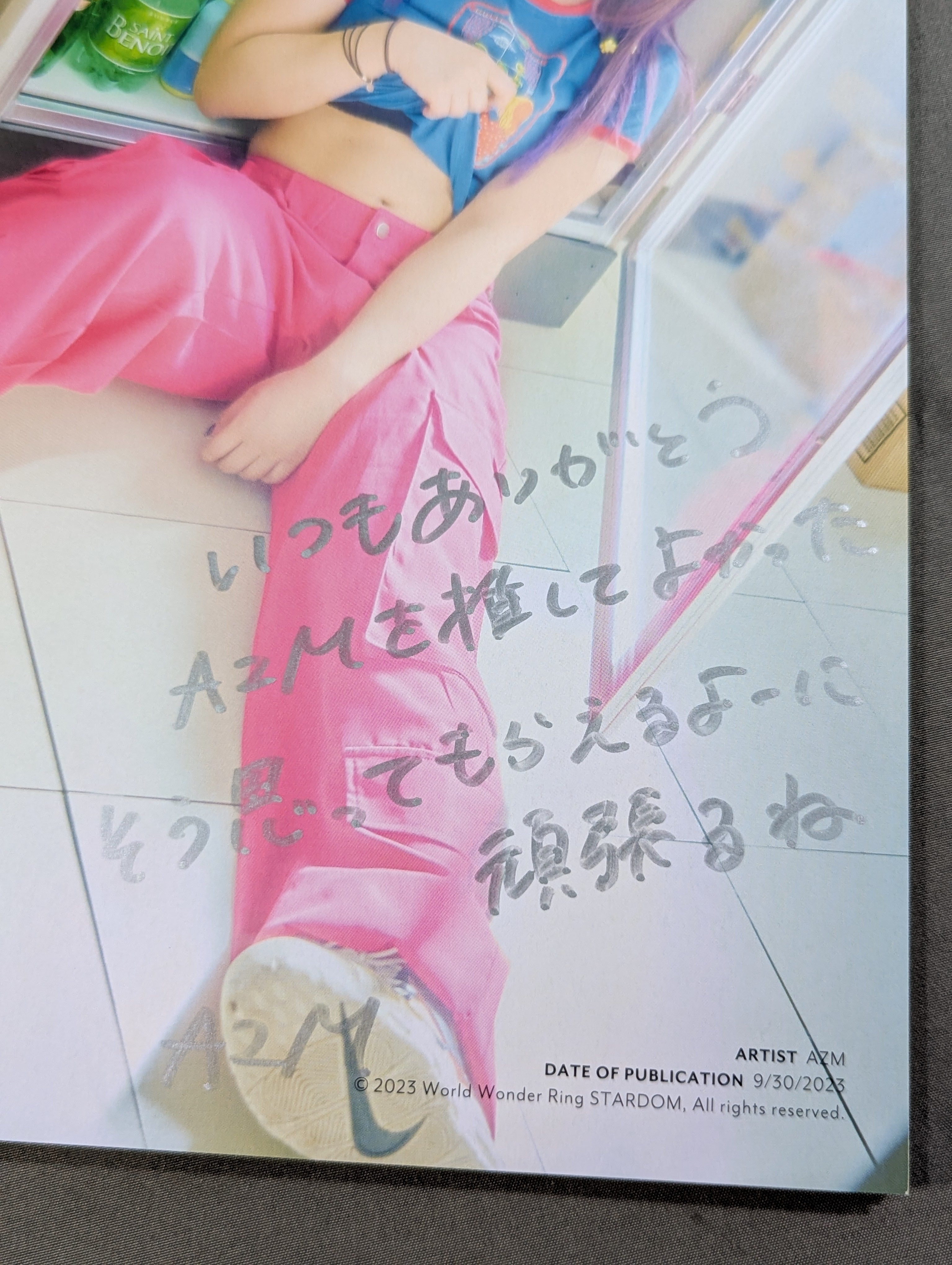 直筆サイン入り】AZM 写真集 POP (Premium Ver.) – 闘道館
