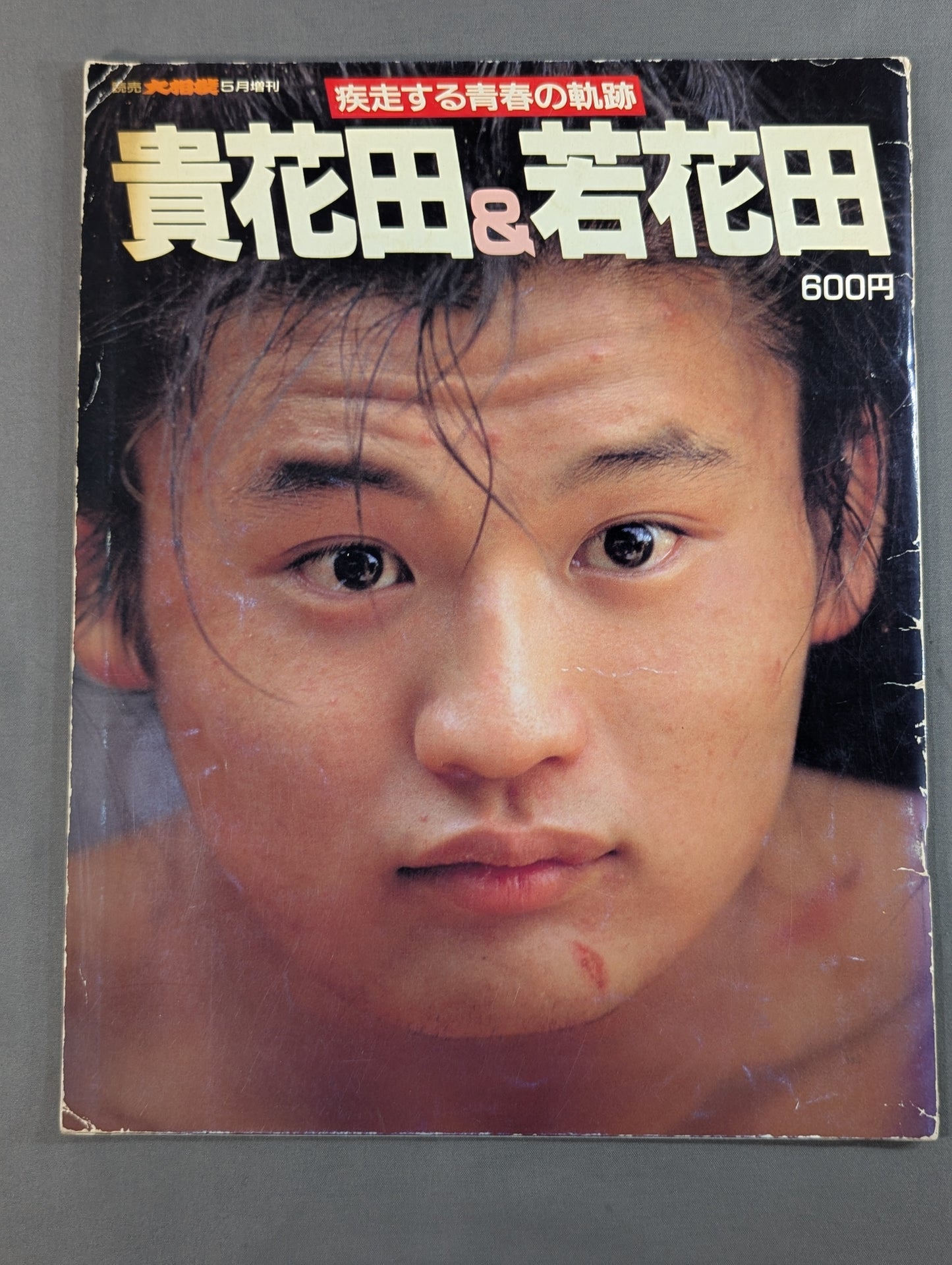The Rushing Path of Youth: Kihanada & Wakahanada