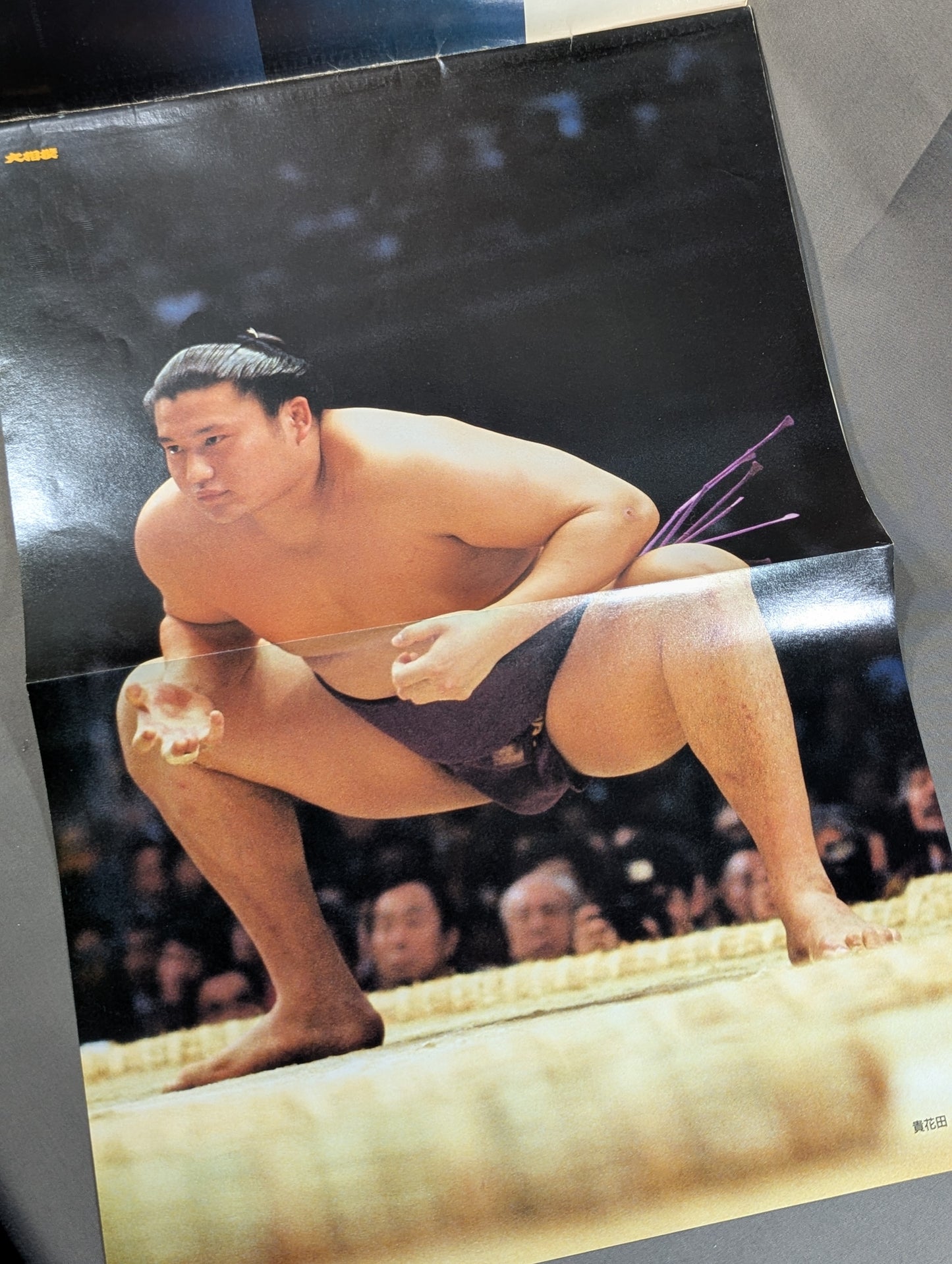 The Rushing Path of Youth: Kihanada & Wakahanada