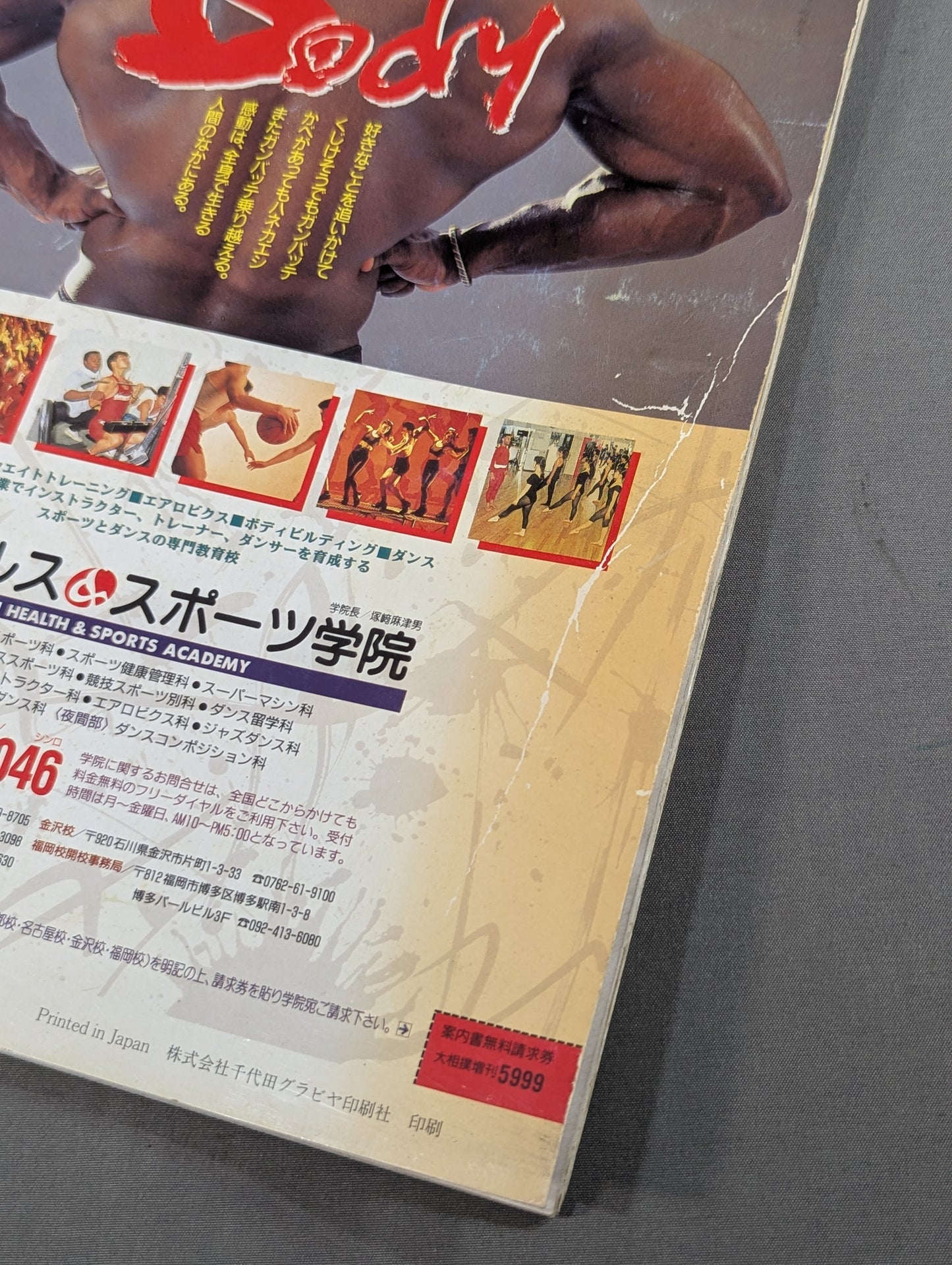 The Rushing Path of Youth: Kihanada & Wakahanada