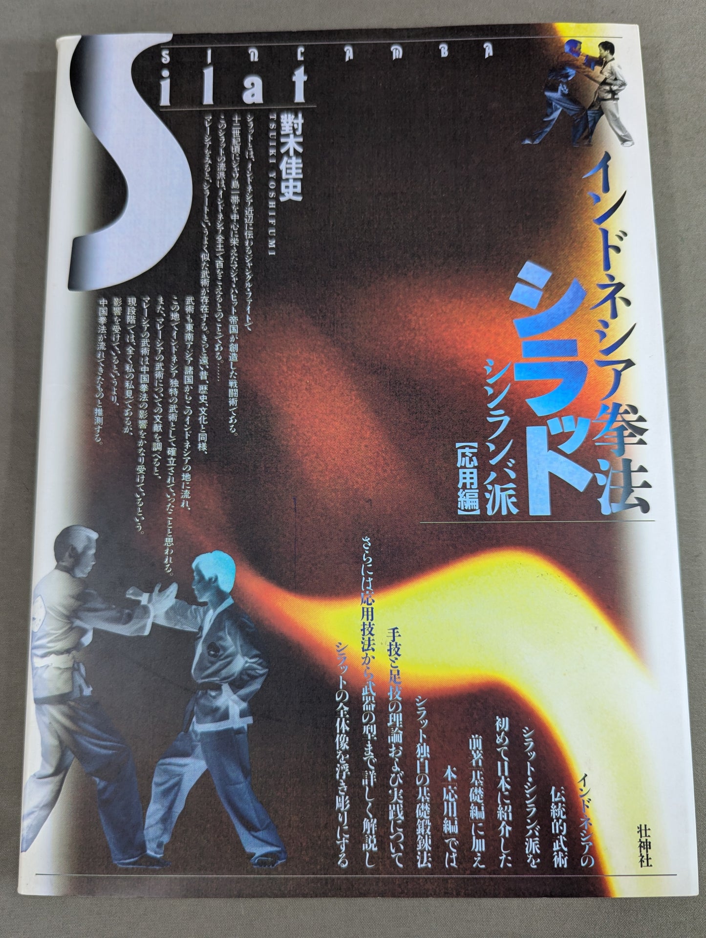 インドネシア拳法シラット シンランバ派  応用編