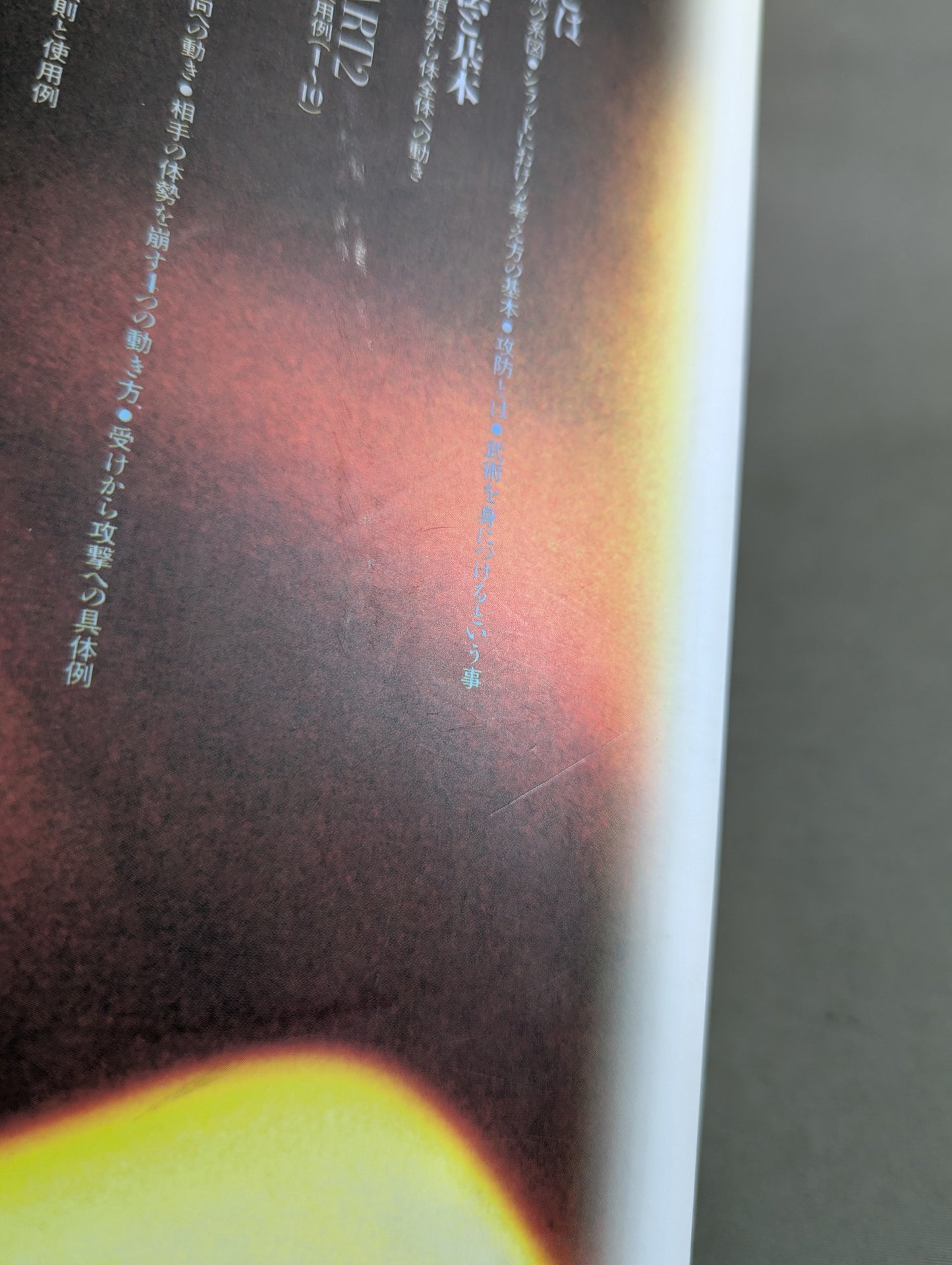 インドネシア拳法シラット シンランバ派  応用編