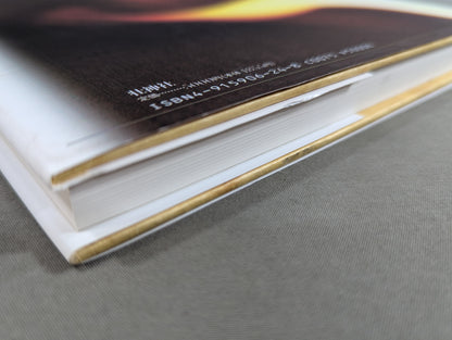 インドネシア拳法シラット シンランバ派  応用編