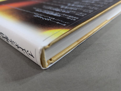 インドネシア拳法シラット シンランバ派  応用編