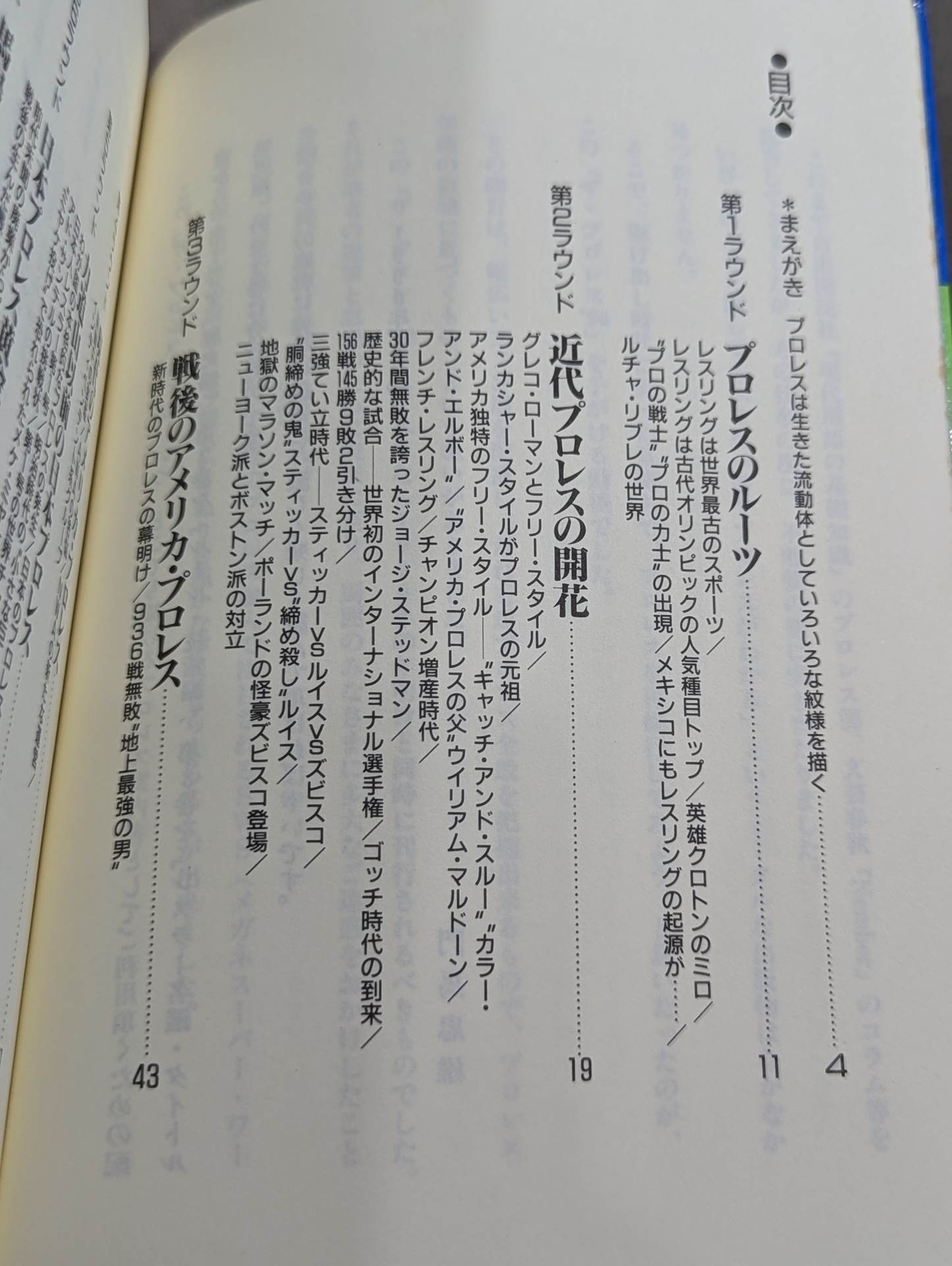 This is Pro Wrestling  by Tadao Monma! ! Pro Wrestling '90 (1) History