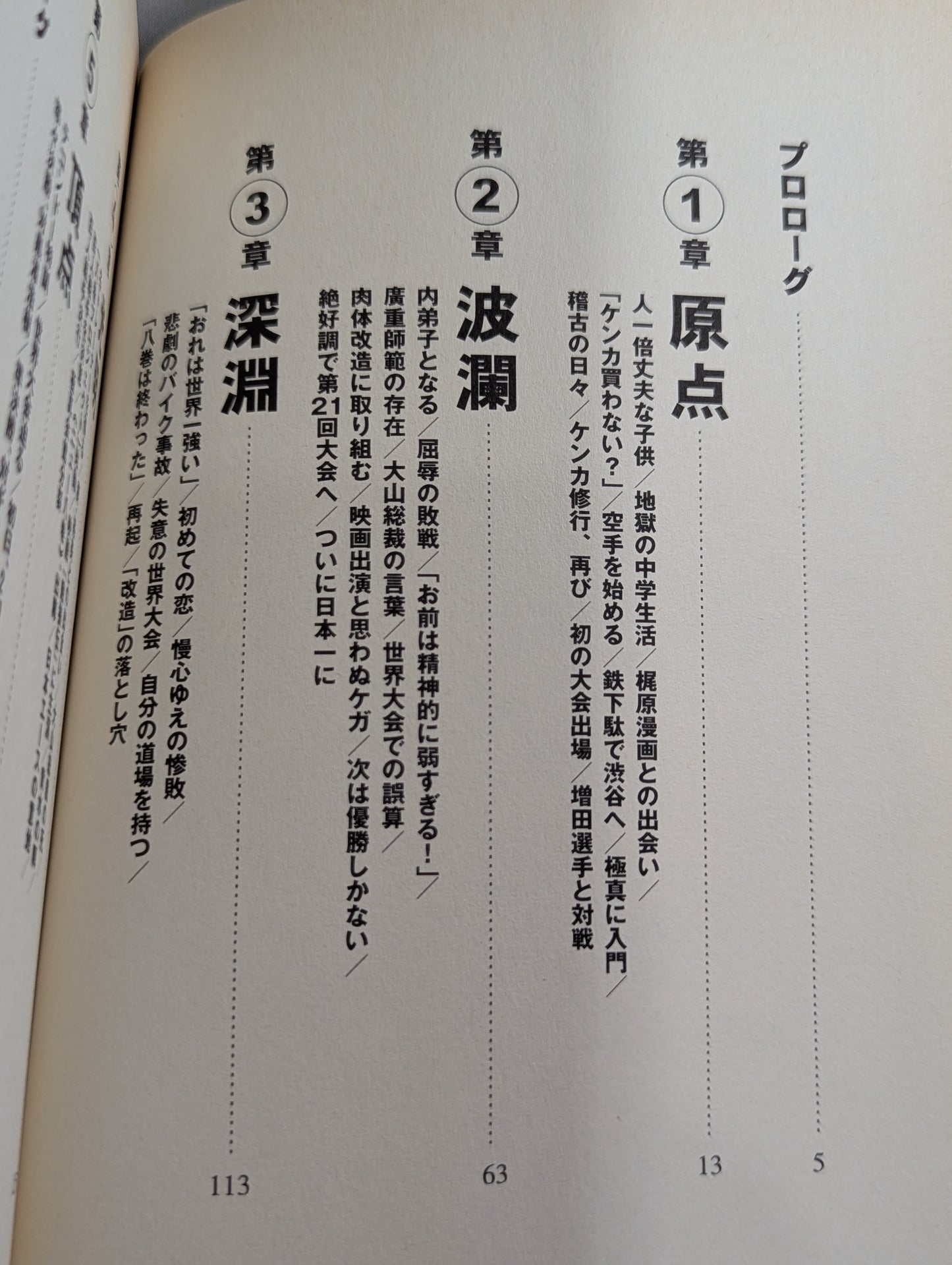 八巻建志自伝 光輝の拳