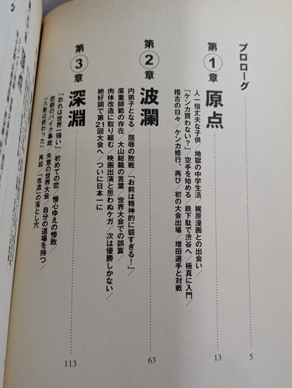 八巻建志自伝 光輝の拳