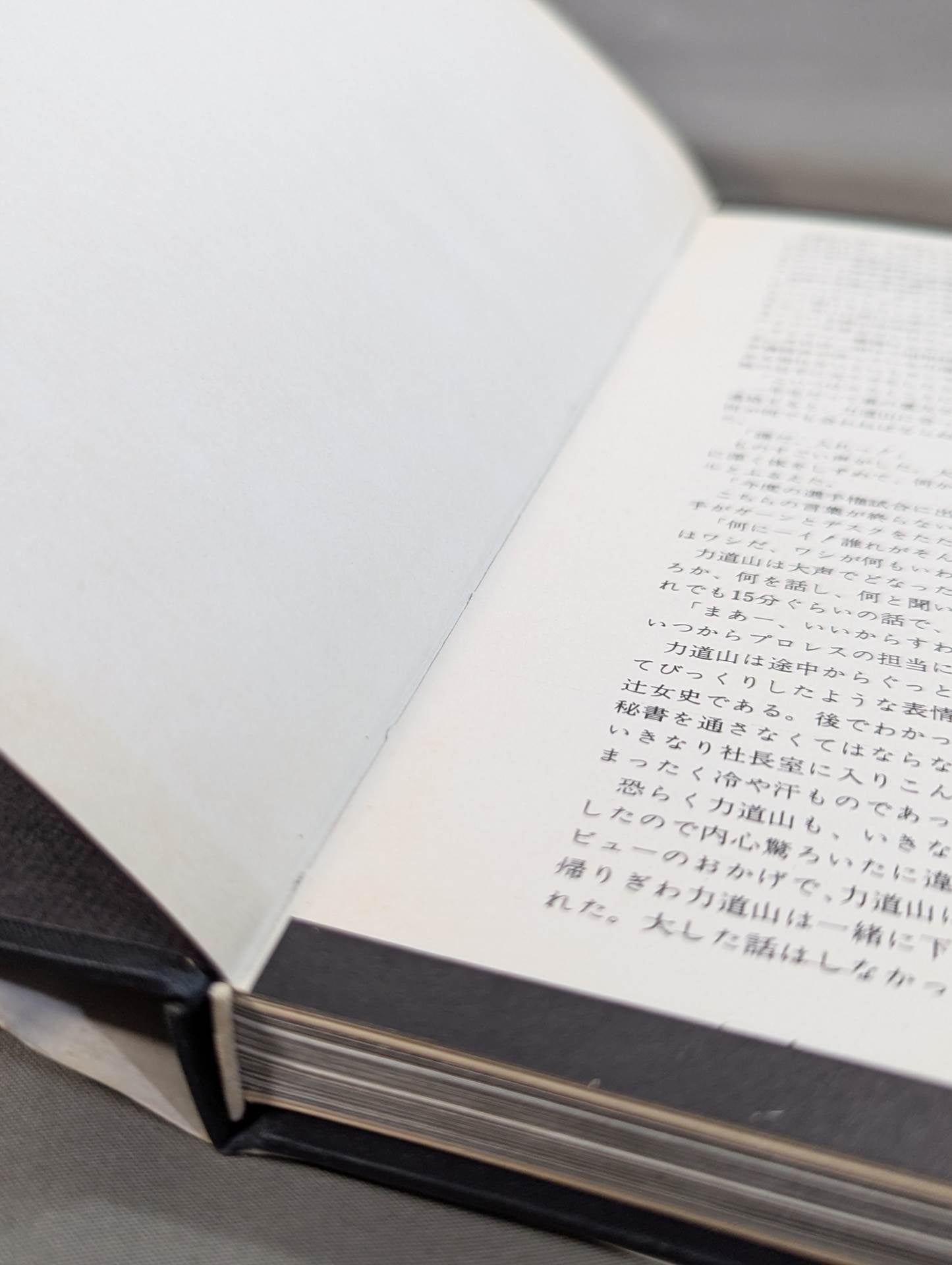 Pro Wrestling Demon Rikidozan Photo Collection