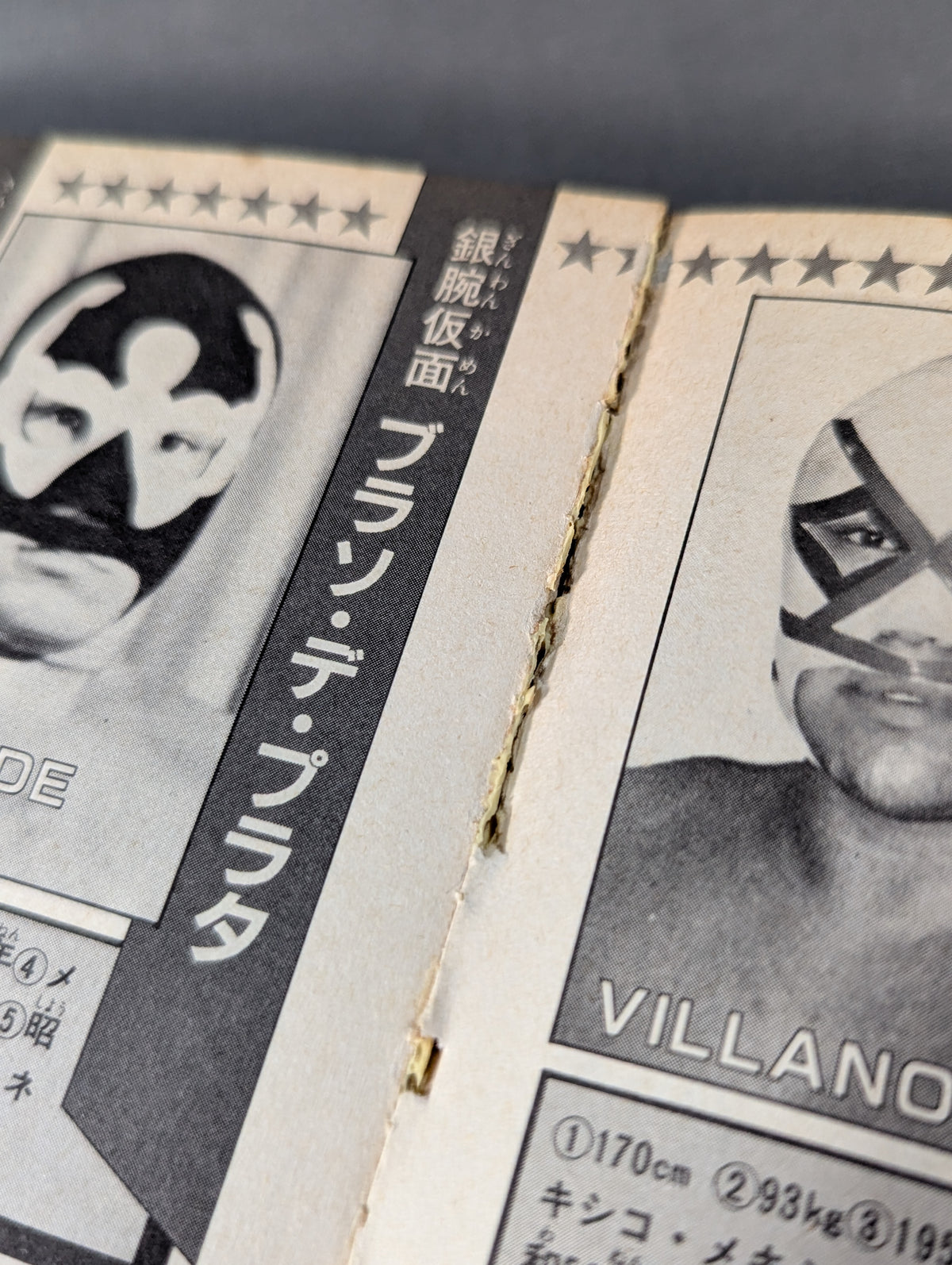 プロレスラー300大名鑑