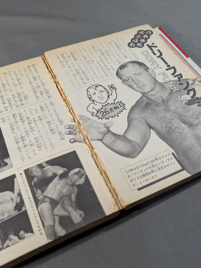プロレスラー300大名鑑