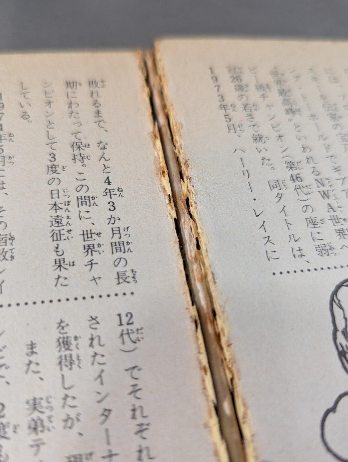 プロレスラー300大名鑑