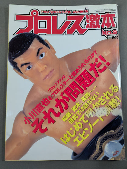 Pro Wrestling Extreme Book No.9
