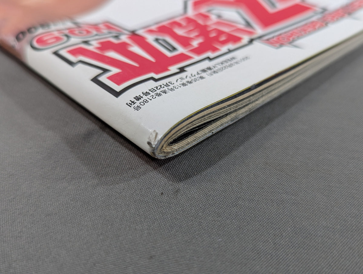 Pro Wrestling Extreme Book No.9