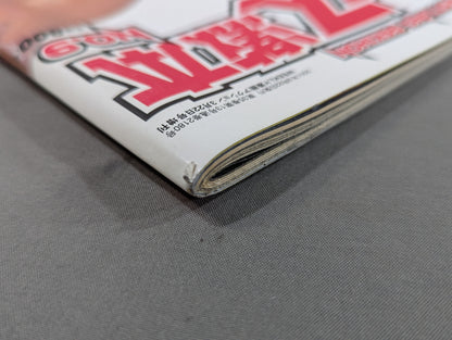 Pro Wrestling Extreme Book No.9