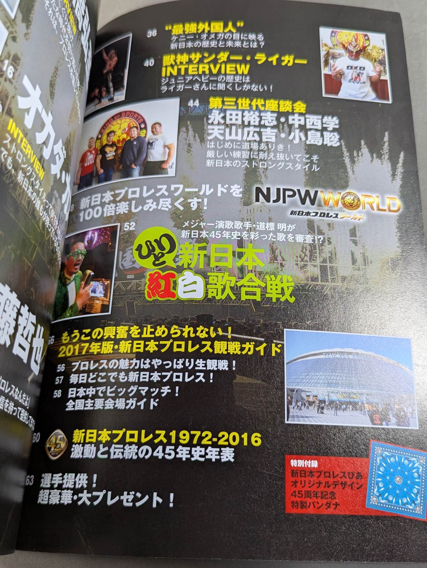 [With bandana] New Japan Pro Wrestling Pia 2017 45th Anniversary Memorial BOOK