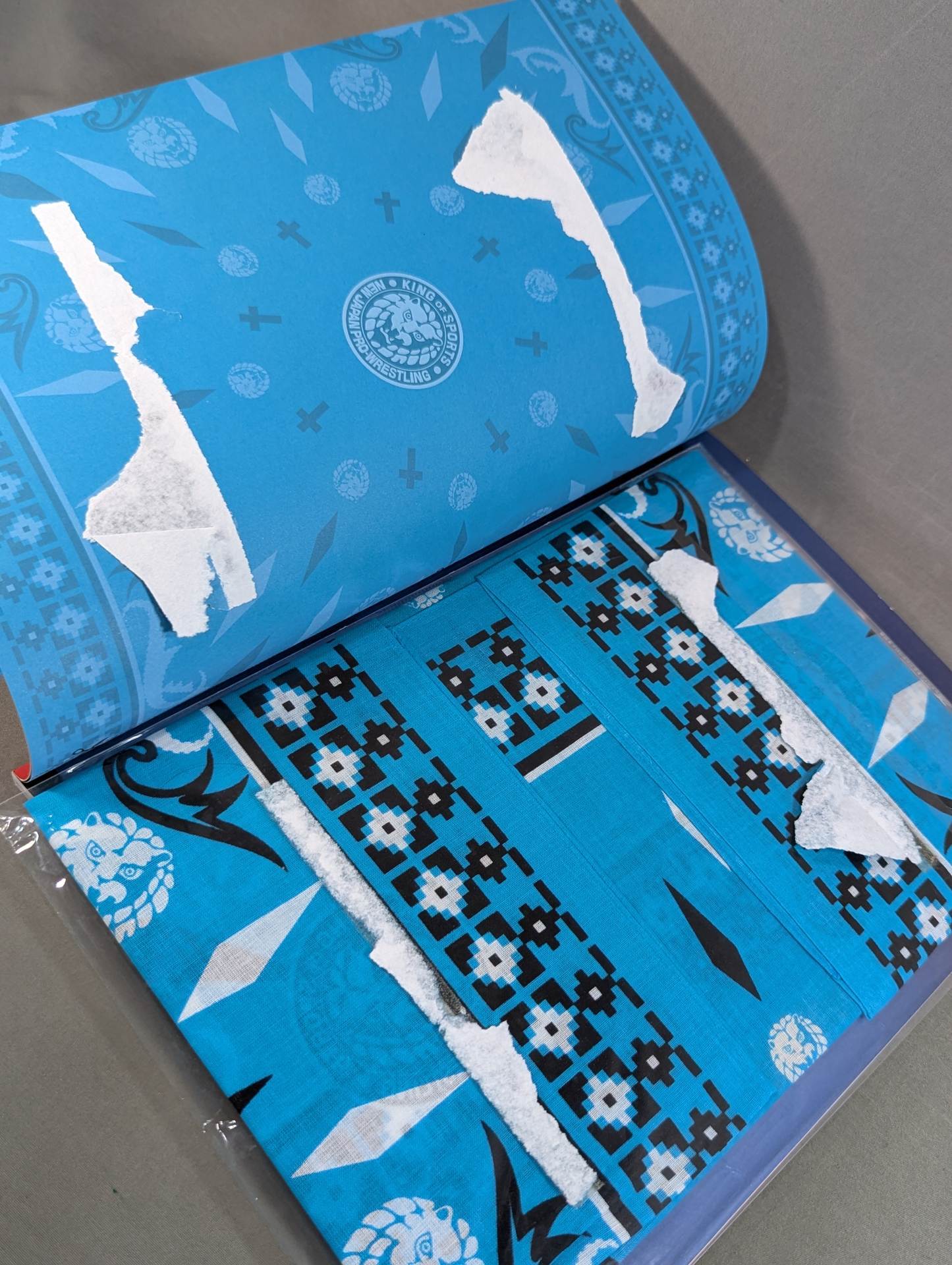[With bandana] New Japan Pro Wrestling Pia 2017 45th Anniversary Memorial BOOK