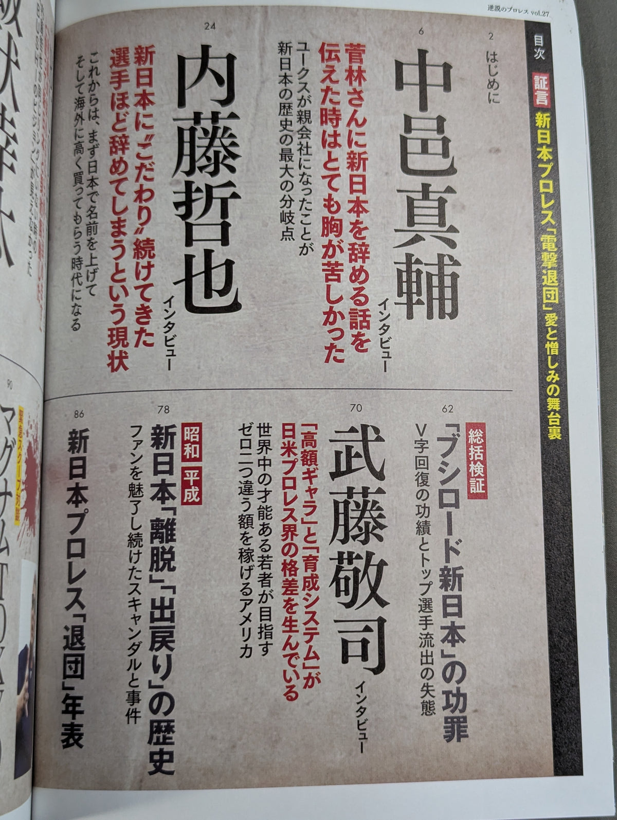 Series: Paradoxical Pro Wrestling Vol.27 Testimony New Japan Pro Wrestling "Shocking Resignation": Behind the Scenes of Love and Hate