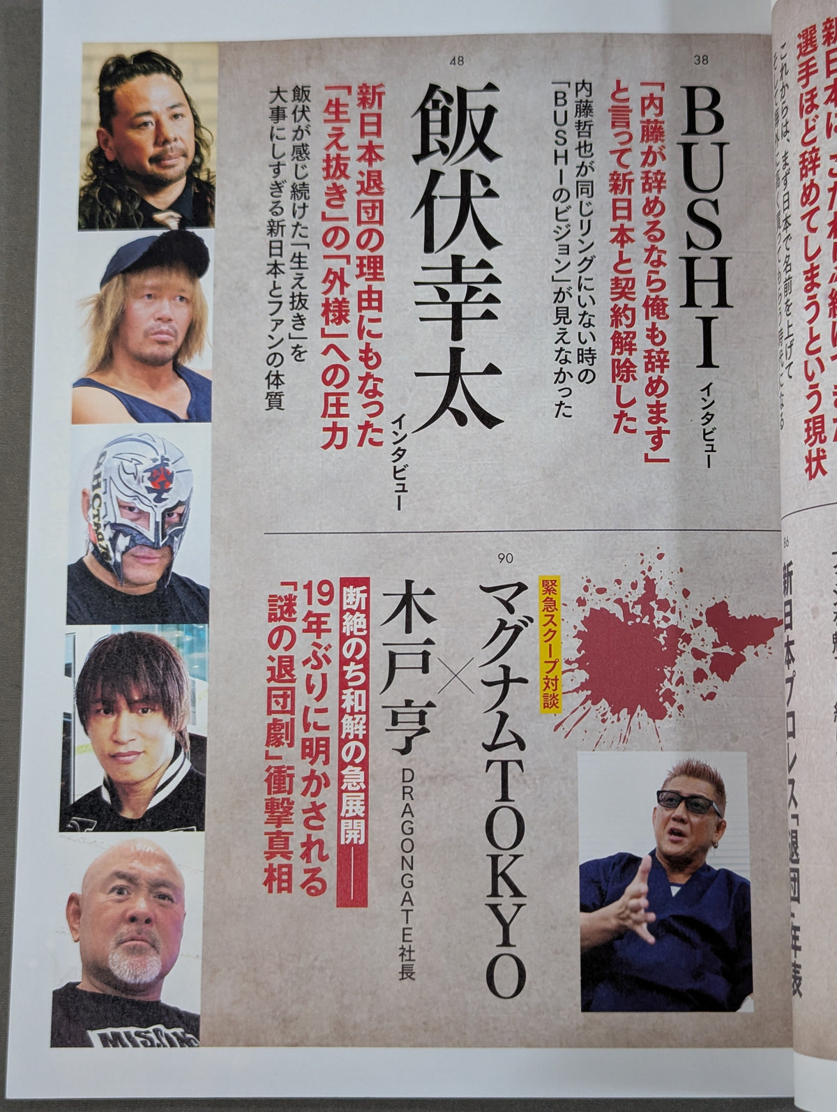 Series: Paradoxical Pro Wrestling Vol.27 Testimony New Japan Pro Wrestling "Shocking Resignation": Behind the Scenes of Love and Hate