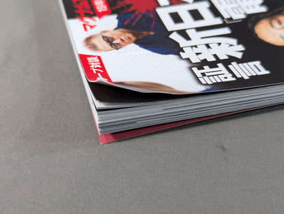Series: Paradoxical Pro Wrestling Vol.27 Testimony New Japan Pro Wrestling "Shocking Resignation": Behind the Scenes of Love and Hate