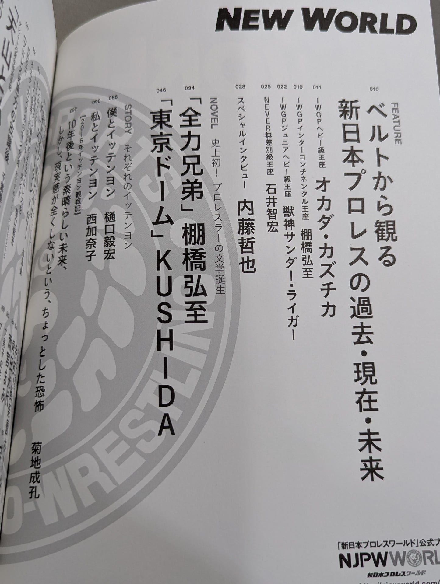 "New Japan Pro Wrestling  World" Official Book NEW WORLD