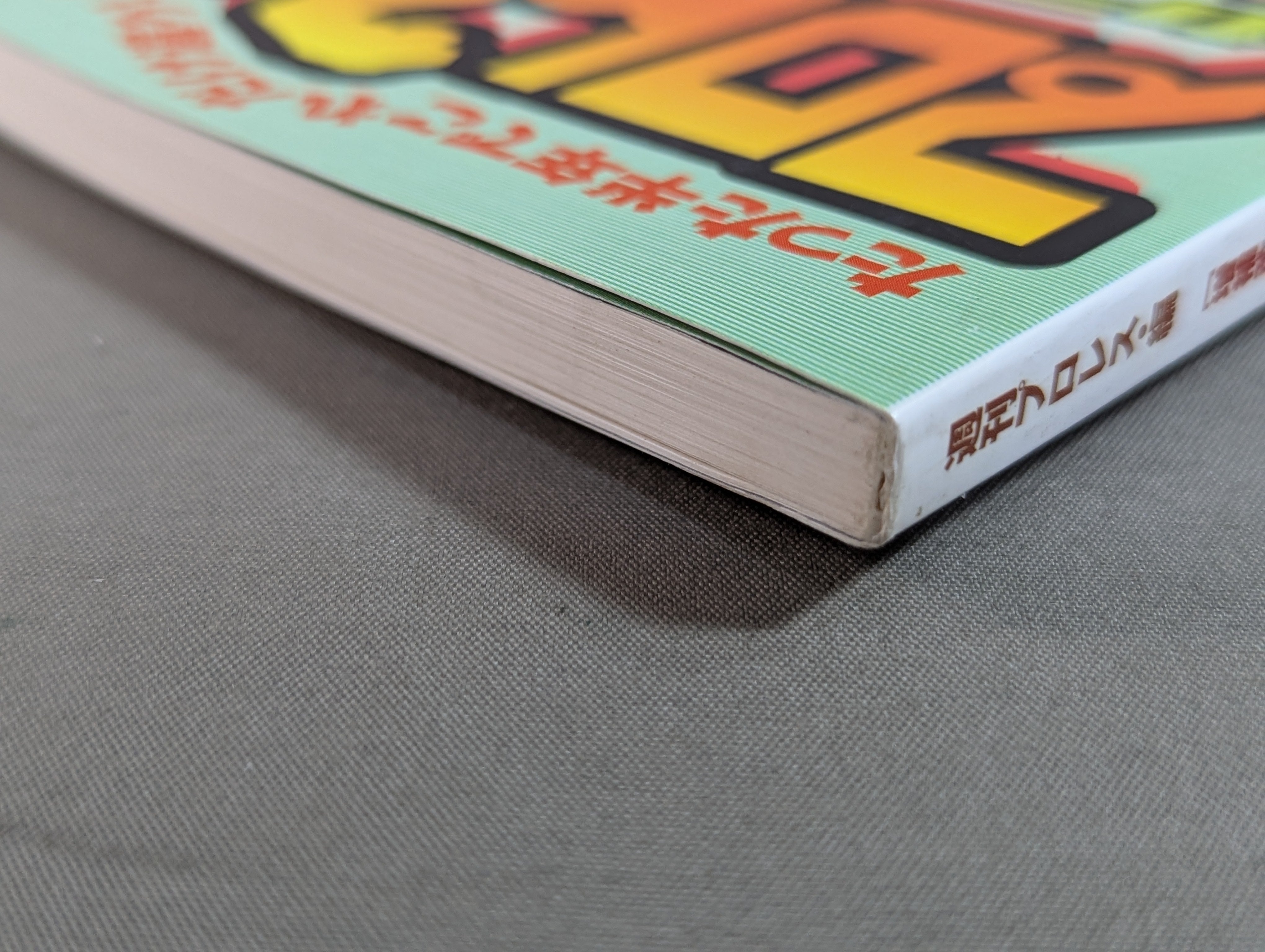 プロレスラーカラー写真名鑑2001 [増補改訂・携帯版] – 闘道館