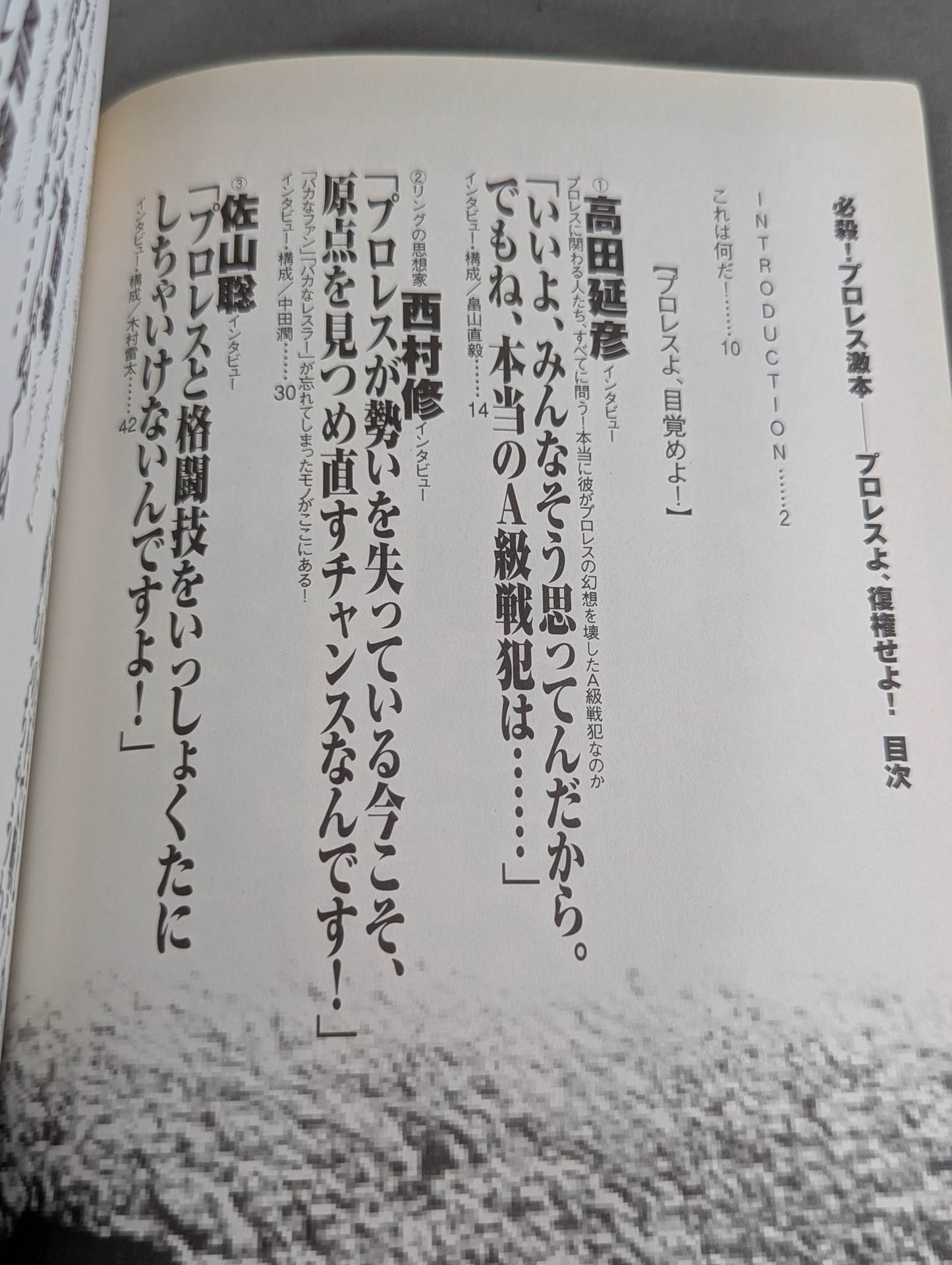 必殺！プロレス激本 誰もやらない全日&パンクラス徹底批判