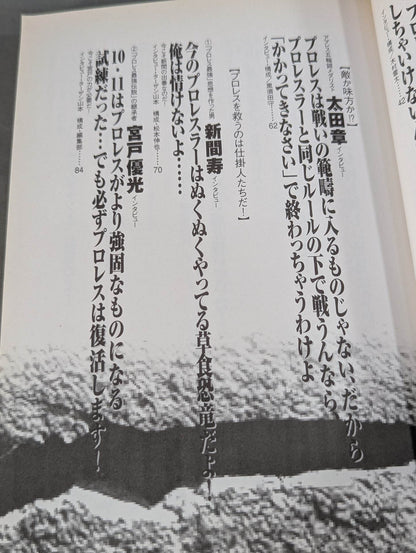 必殺！プロレス激本 誰もやらない全日&パンクラス徹底批判