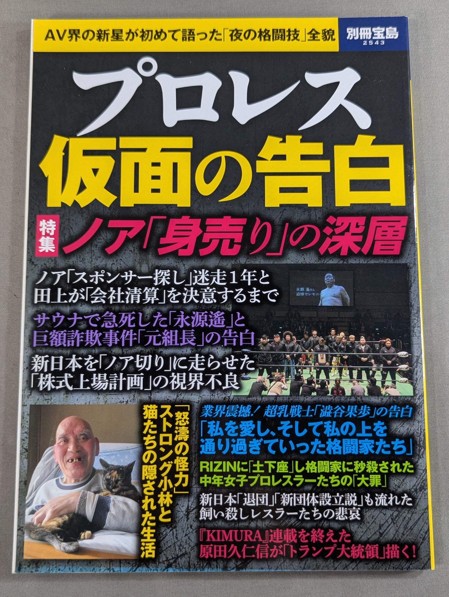 別冊宝島2543 プロレス 仮面の告白 AV界の新星が初めて語った「夜の格闘技」全貌