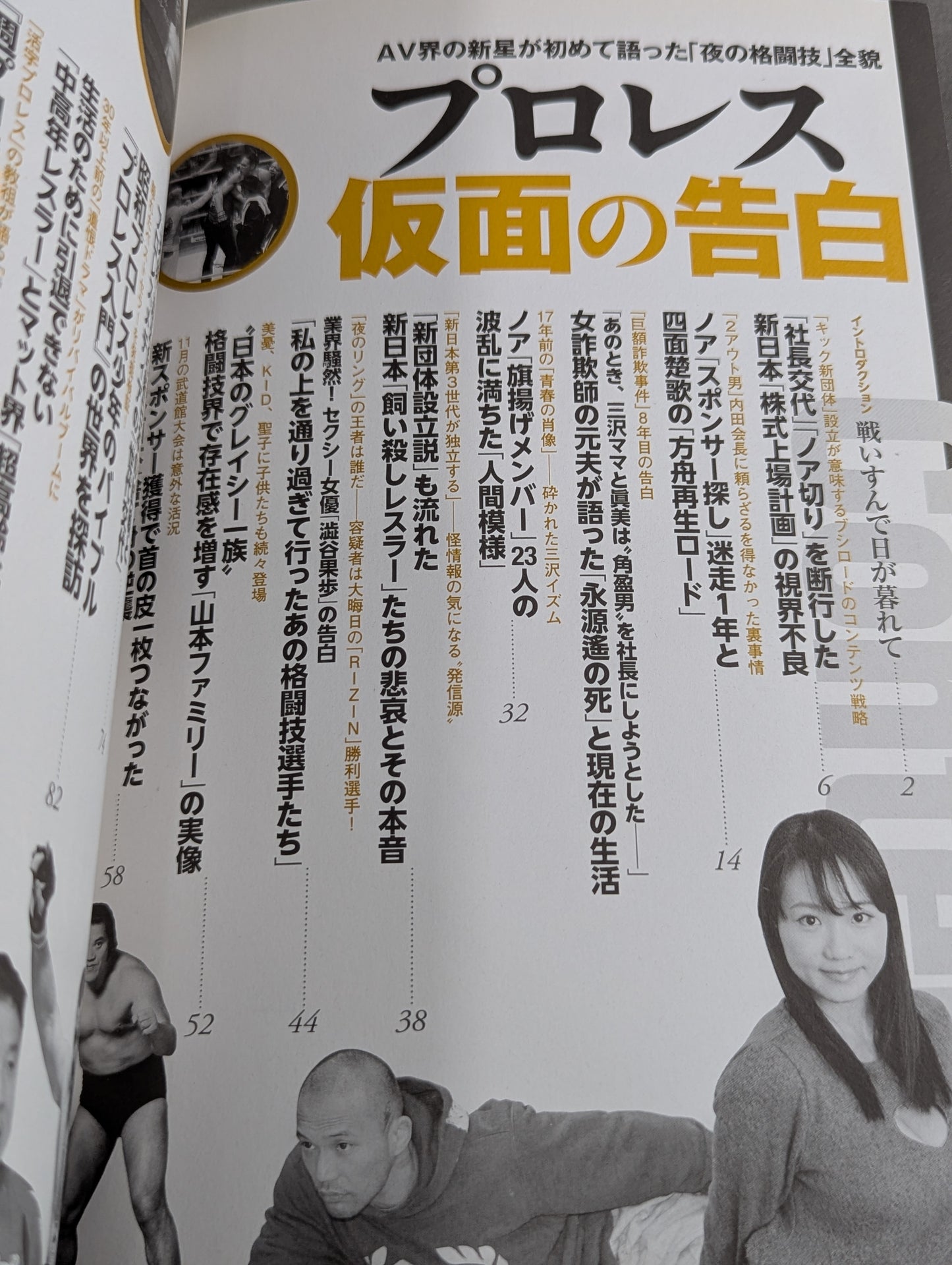 別冊宝島2543 プロレス 仮面の告白 AV界の新星が初めて語った「夜の格闘技」全貌