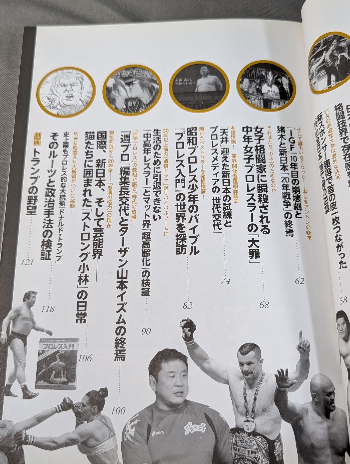 別冊宝島2543 プロレス 仮面の告白 AV界の新星が初めて語った「夜の格闘技」全貌