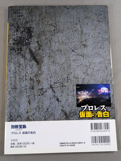 別冊宝島2543 プロレス 仮面の告白 AV界の新星が初めて語った「夜の格闘技」全貌