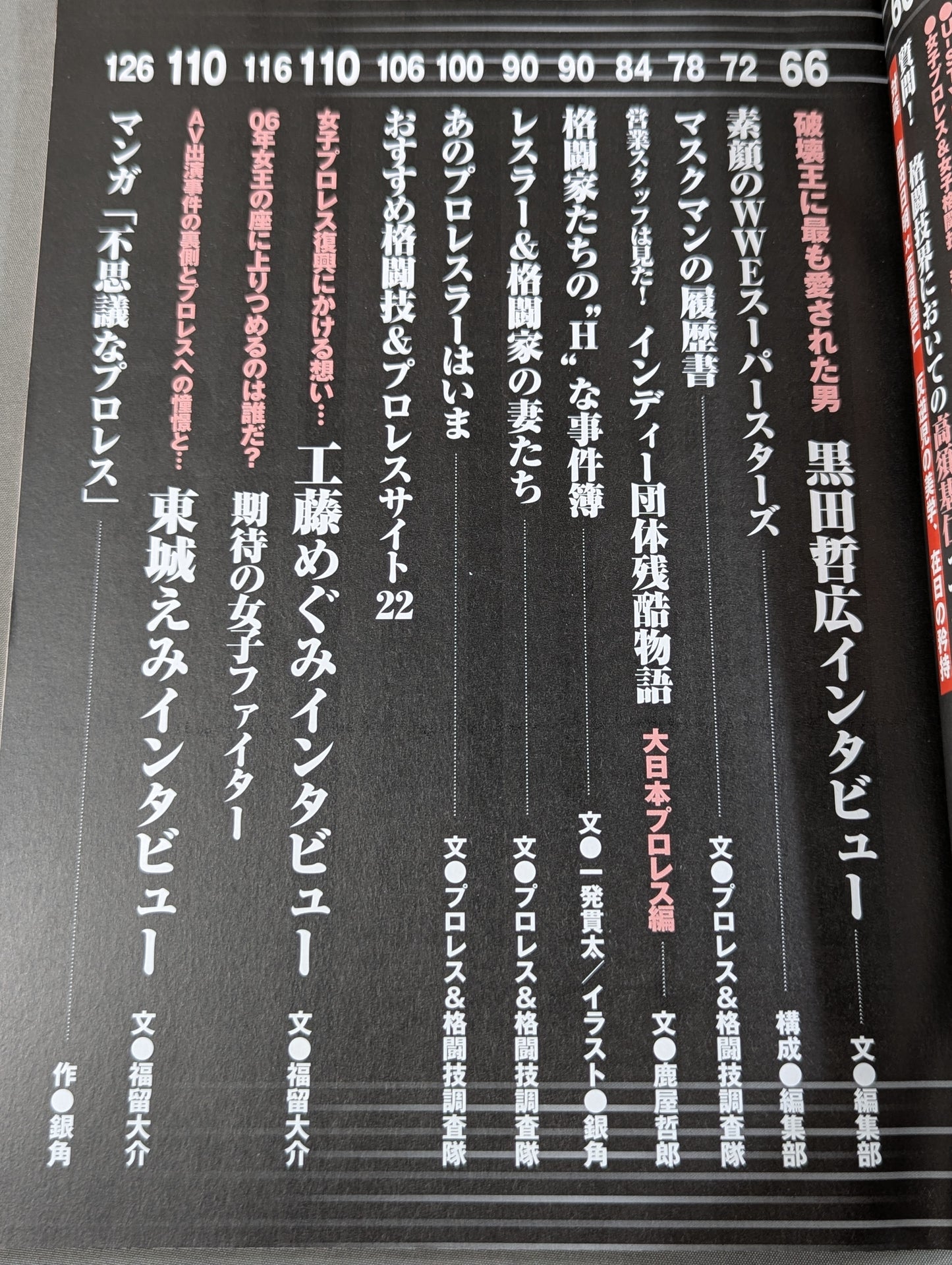 Pro Wrestling, K-1, PRIDE Secret Case Files