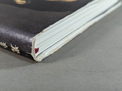 Seize the light! Kensuke Sasaki  Autobiography