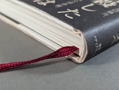 Seize the light! Kensuke Sasaki  Autobiography