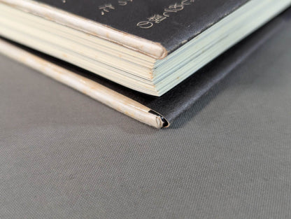 Seize the light! Kensuke Sasaki  Autobiography