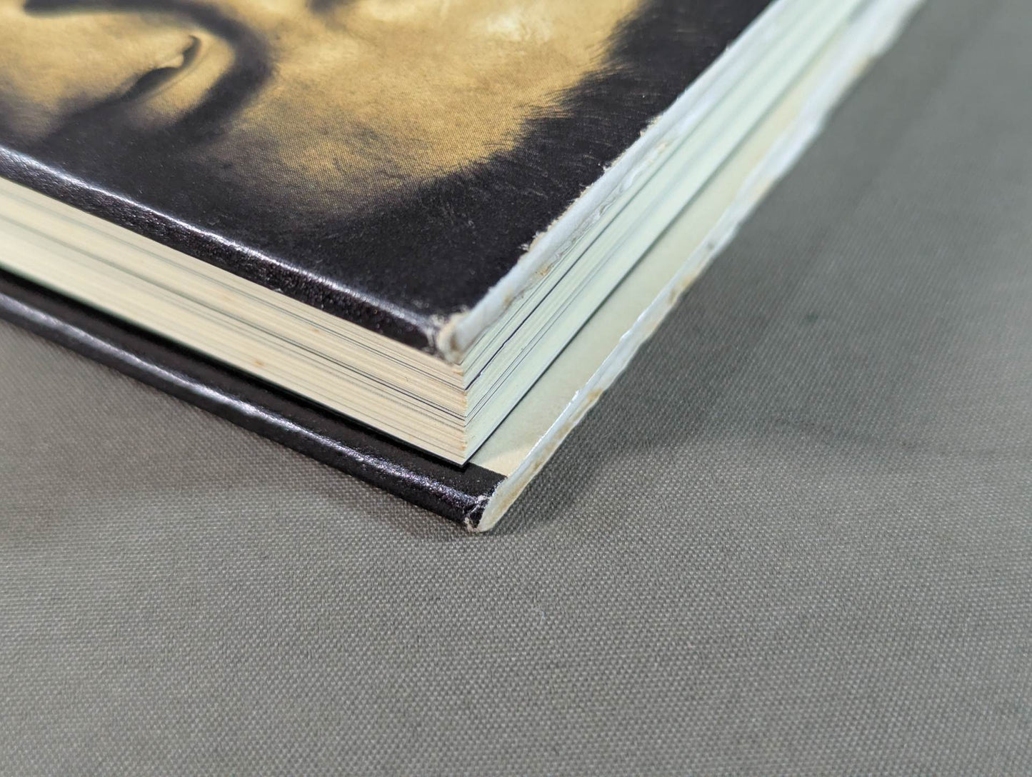 Seize the light! Kensuke Sasaki  Autobiography