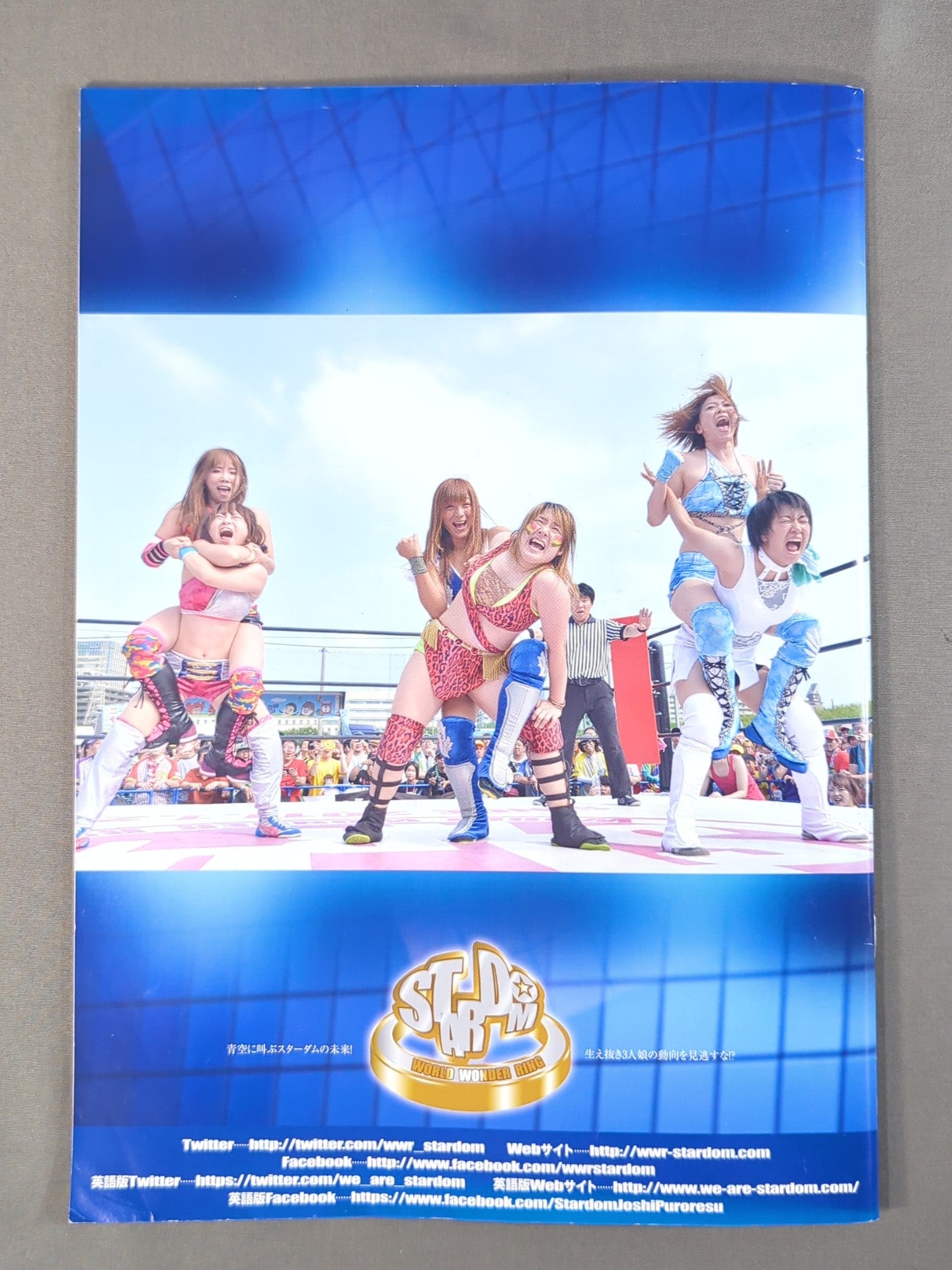 STARDOM OFFICIAL GUIDE BOOK Vol.81