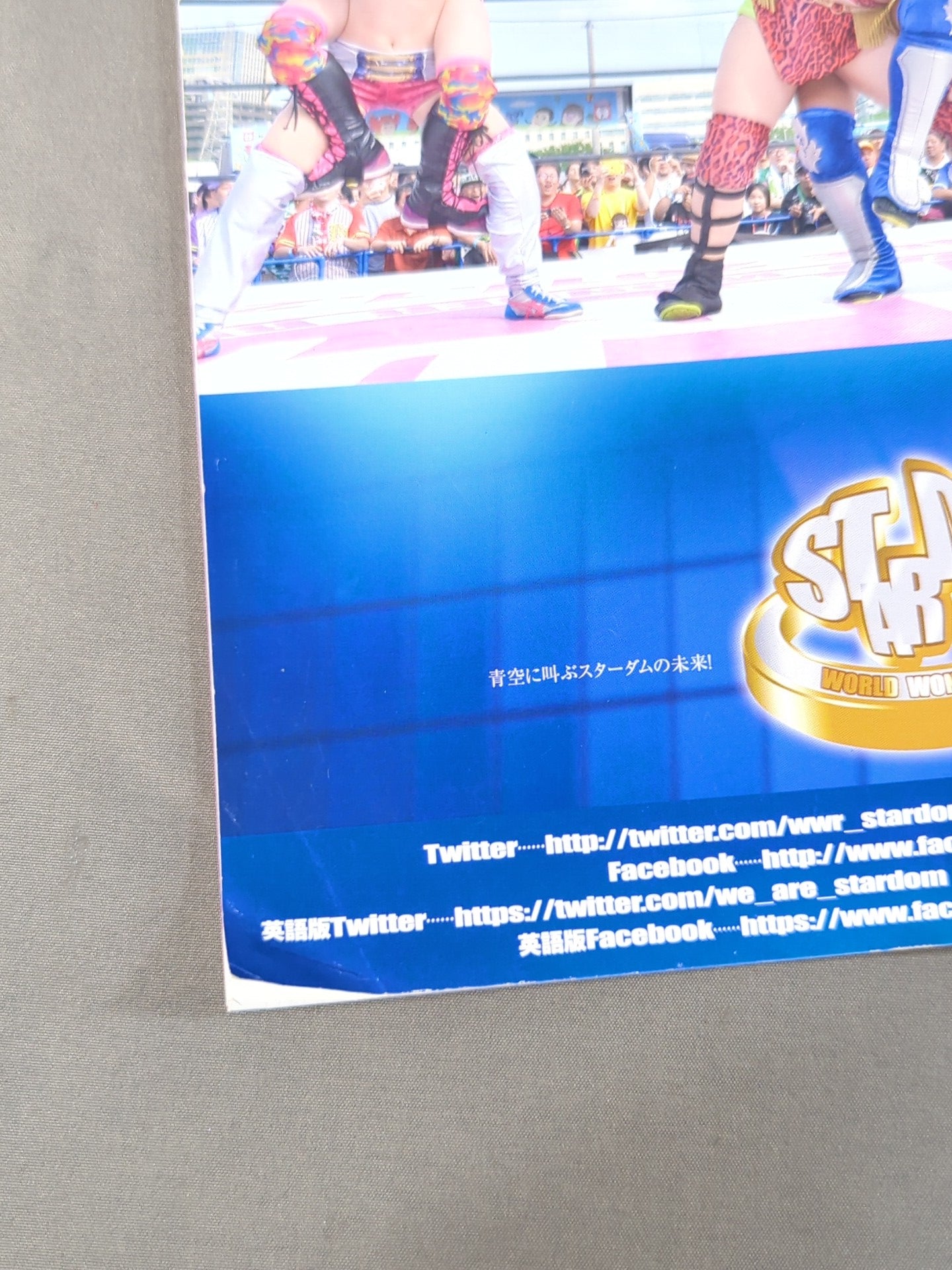 STARDOM OFFICIAL GUIDE BOOK Vol.81