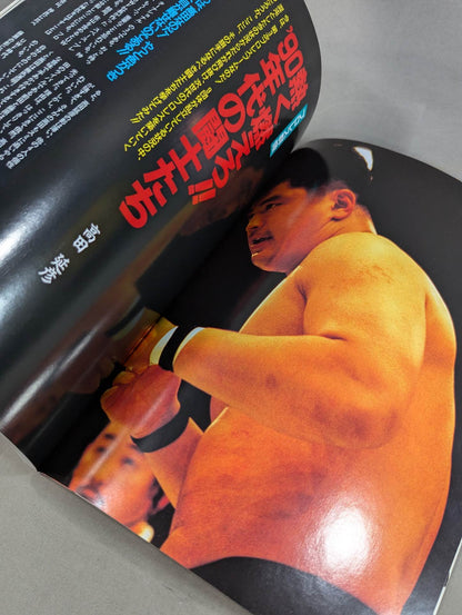 プロレス革命(レボリューション) vol.1  リングに燃える闘士たち!!