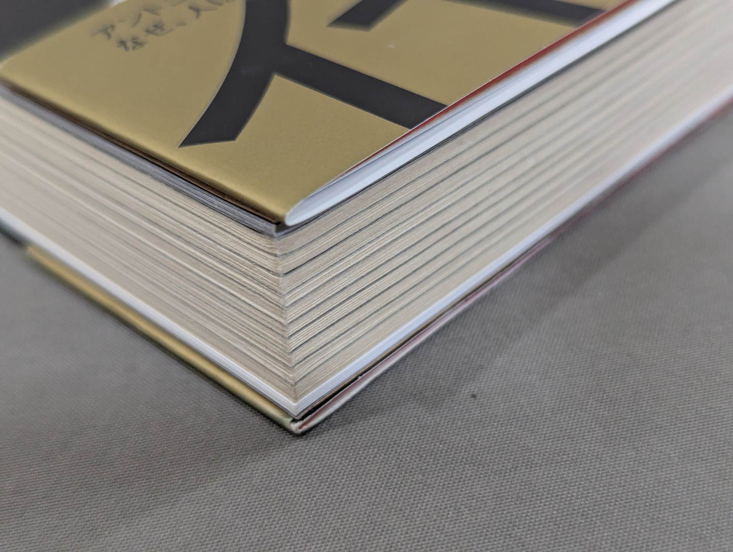 【購入特典付】中邑真輔自伝 キング・オブ・ストロングスタイル 2005-2014 下巻