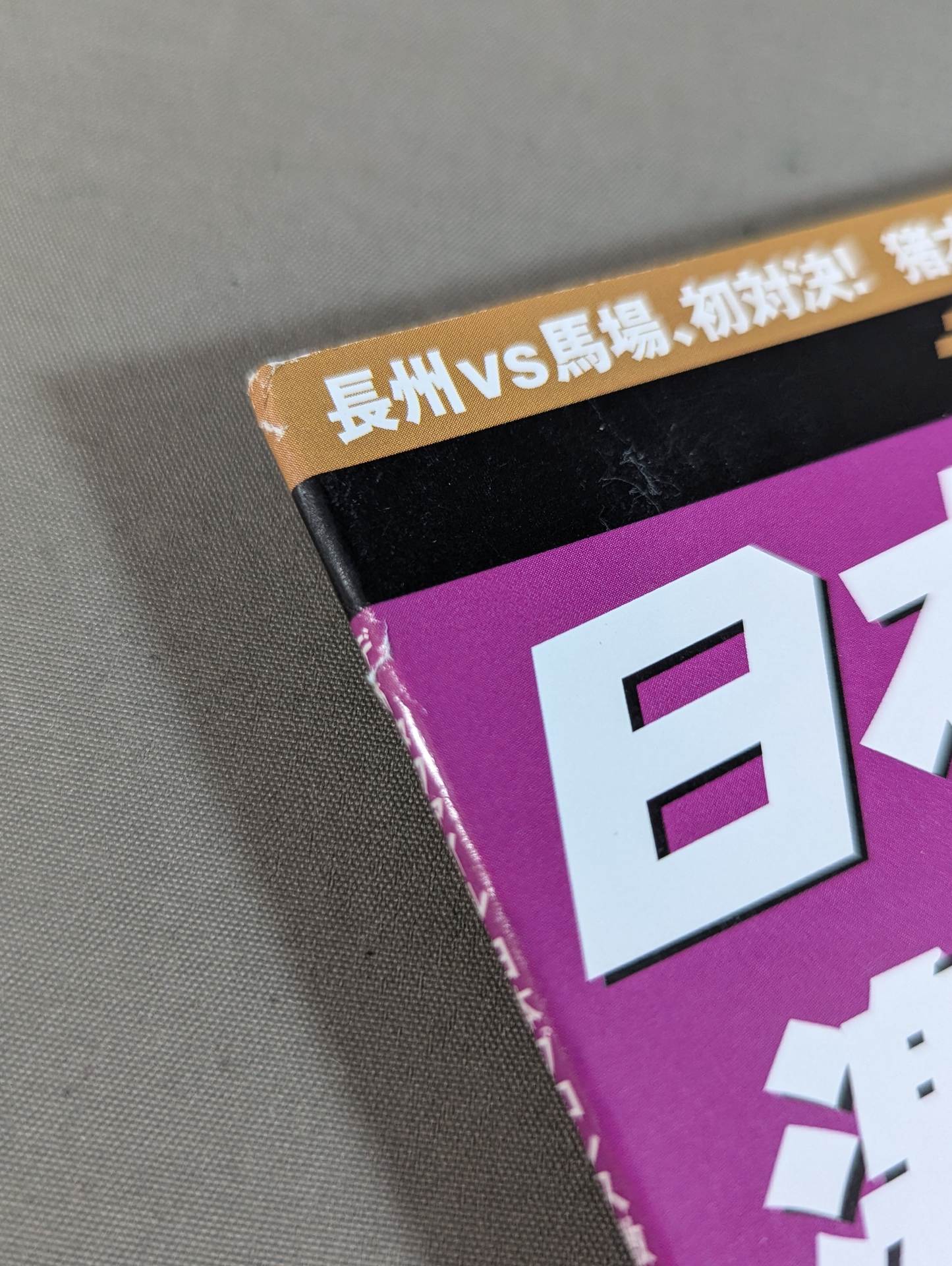 日本プロレス激闘60年史 (26) – 闘道館