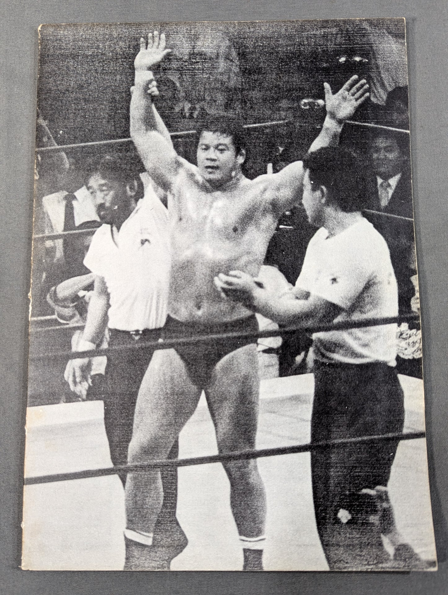 ★藤波辰巳ファンクラブ闘竜★ 会報第37号